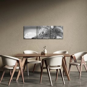 Kép - Farkas, fekete-fehér (órával) (90x30 cm)