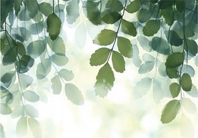 Fotótapéta Levelek a flizelinen Gyönyörű Levelek gallyak fotótapéta ragasztó