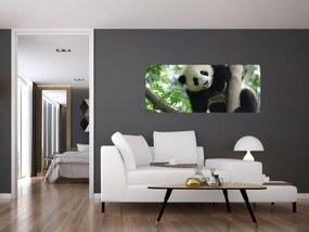 Kép - Panda a fán (120x50 cm)