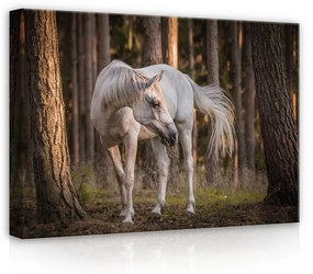Ló az erdőben, vászonkép, 70x50 cm méretben