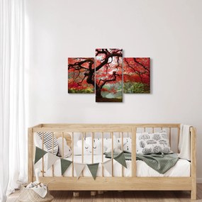 Red Japanese Maple, Portland, Oregon képe (90x60 cm)