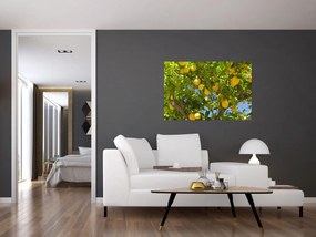 Kép - Citromfa (90x60 cm)