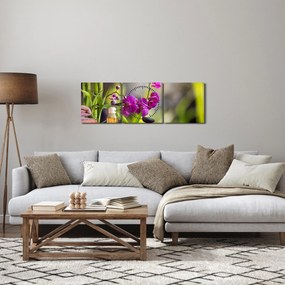 Kép - spa and stones (órával) (90x30 cm)
