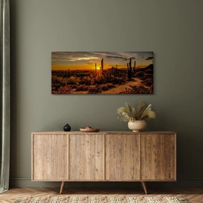 Kép - A nap vége az arizonai sivatagban (120x50 cm)