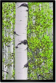 Poszterek keretben 40x60 Tavaszi zöld