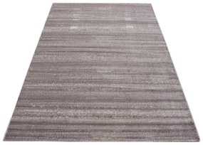 Bézs szőnyeg 80x150 cm Plus – Ayyildiz Carpets