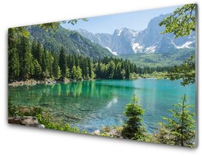 Üvegkép Természet-hegység Lake Forest 100x50 cm