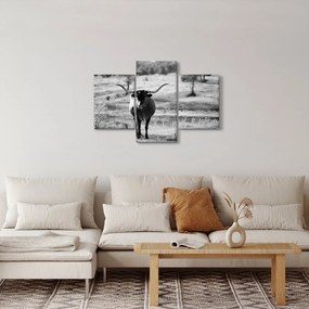Kép - Tehén, fekete-fehér (90x60 cm)