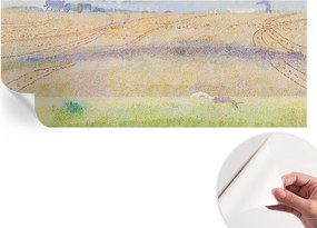 Dekoratív öntapadós fotótapéta Hálószobába Nyári mező 250x104 cm