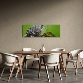 Kép - Légykapó (órával) (90x30 cm)