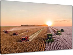 Festmények 120x80 Aratás Mezőgazdaság Kombájn