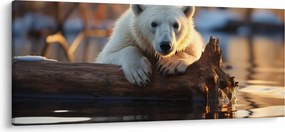 Kép - Jegesmedve (120x50 cm)