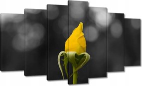 Vászonkép 140x80 Sárga rózsa