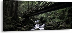 Fekete erdő képe (120x50 cm)