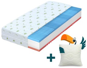 Wilsondo CAROLINA habmatrac 180x200 Magasság: 21 cm