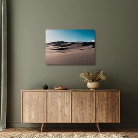 Kép - A sivatagból (üvegen) (70x50 cm)