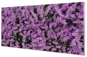 Akrilkép lila virágok 100x50 cm
