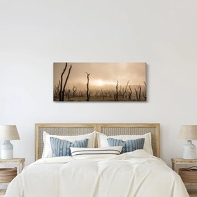 Kép - Csupasz fák (120x50 cm)