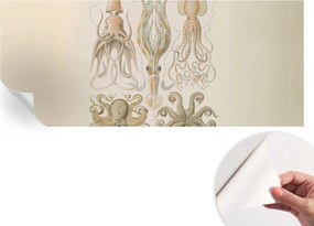 Öntapadós fotótapéta Nappaliba és Hálószobába Tengeri élet 250x104