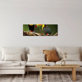 Ülő tukánok képe, Costa Rica (órával) (90x30 cm)