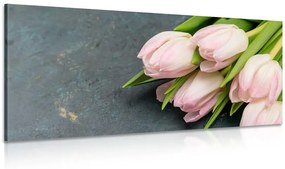 Kép pasztell rózsaszín tulipánok