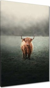 Vászonkép 80x120 Mint a szarvak Hegyi rét