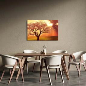 Isten sugarainak képe (90x60 cm)