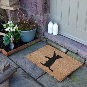 Kókuszrost lábtörlő 40x60 cm Cat – Artsy Doormats
