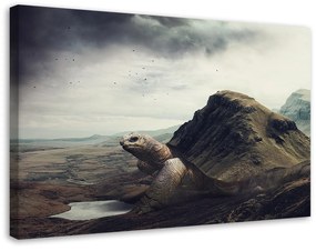 Gario Vászonkép Óriásteknős a sivatagban - Patryk Andrzejewski Méret: 60 x 40 cm