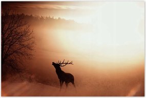 Poszterek 120x80 Szarvas az erdő szélén