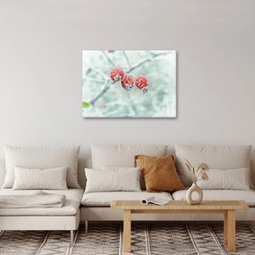 Fagyasztott csipkebogyó képe (70x50 cm)