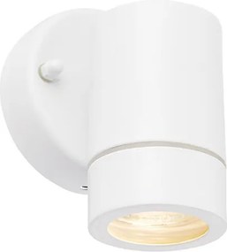 ENDON 75441 PALIN Modern Kültéri Fali Lámpa Fehér, Átlátszó GU10 IP44