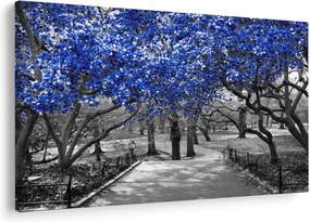 Kép - Kék fák, Central Park, New York (90x60 cm)