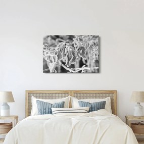 Kép - Fagyott levelek, fekete-fehér (90x60 cm)