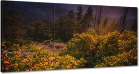 Festmények 120x60 Kilátás Tájkép