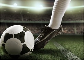 Kép - Futball labda (70x50 cm)