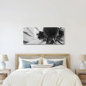 Kép - Virág fekete-fehérben (120x50 cm)