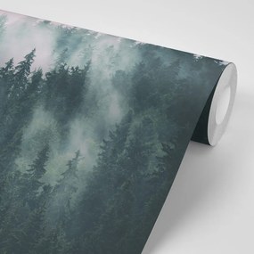 Fototapeta erdő ködben