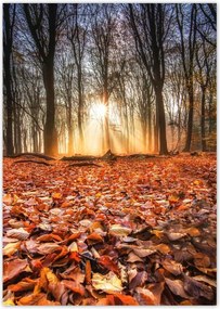 Poszterek A4 Pion Őszi kilátás Tájkép