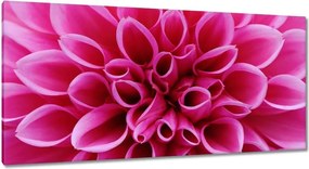 Festmények 115x55 Liliom