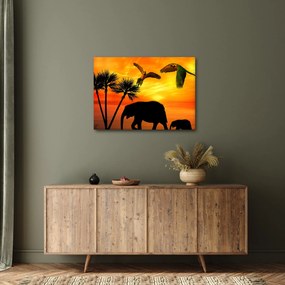 Kép - papagájok és elefántok (70x50 cm)