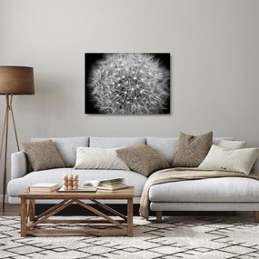 Szürke pitypang képe (üvegen) (70x50 cm)