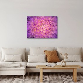 Részletes virágkép (70x50 cm)