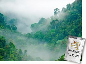 Fotótapéta Flizelina Tájkép Szabadtéri Hegyek Erdő Fák Zöld Köd 300x210 ragasztó