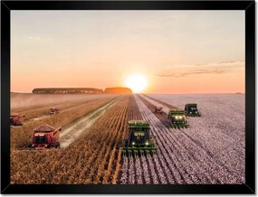 Poszterek keretben 40x30 Aratás Mezőgazdaság Kombájn