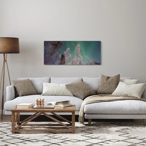 Az aurora borealis képe fagyos fák felett (120x50 cm)