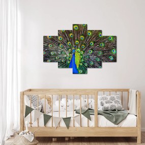 Kép - Páva (150x105 cm)