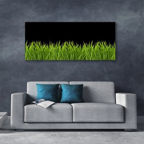 Vászonkép Green Grass Nature 100x50 cm