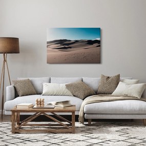 Kép - A sivatagból (90x60 cm)