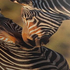 Kép - Két zebra (150x105 cm)